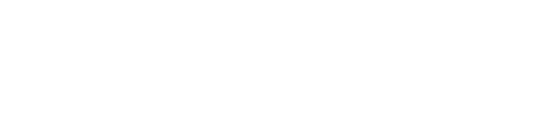 TOPPLAB